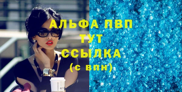 индика Медвежьегорск