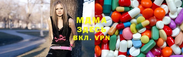 индика Медвежьегорск