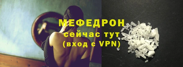 индика Медвежьегорск
