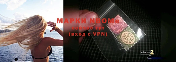 индика Медвежьегорск
