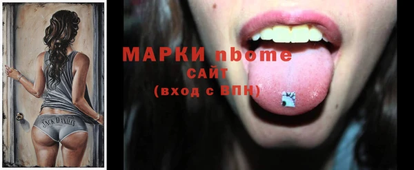 индика Медвежьегорск