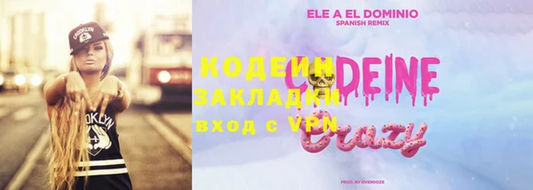 индика Медвежьегорск