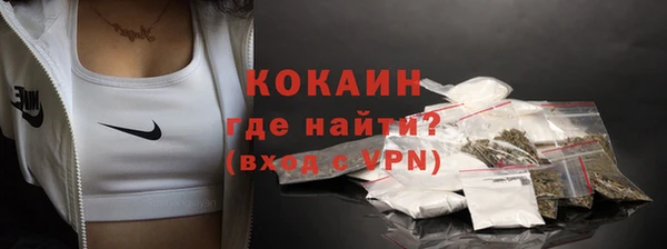 индика Медвежьегорск