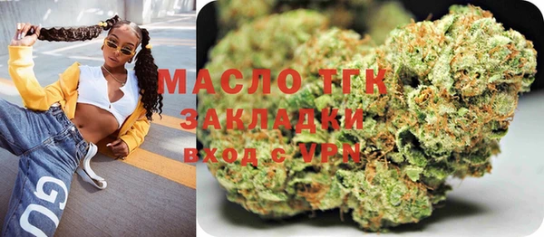 индика Медвежьегорск