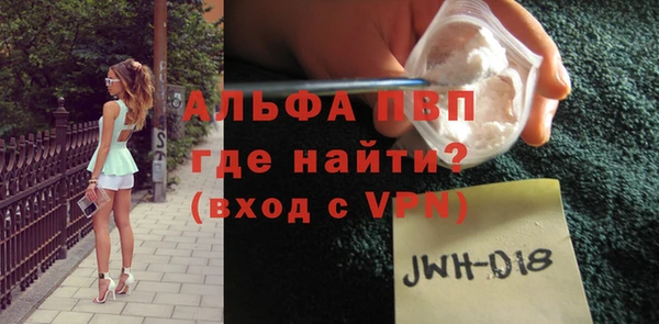 индика Медвежьегорск