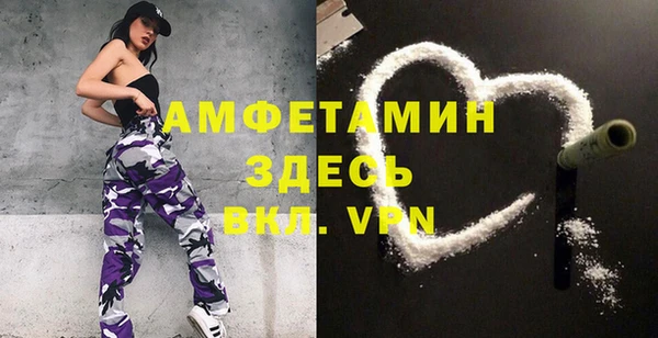 индика Медвежьегорск
