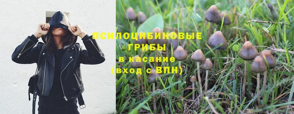 индика Медвежьегорск