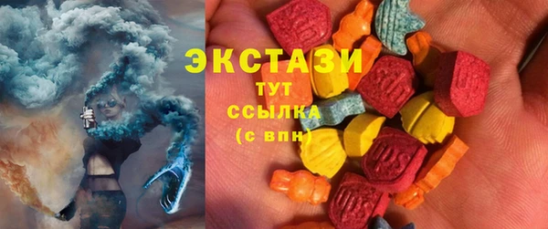 индика Медвежьегорск
