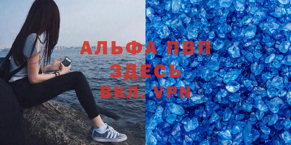 индика Медвежьегорск