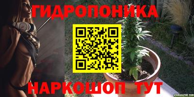 прущий лед Будённовск