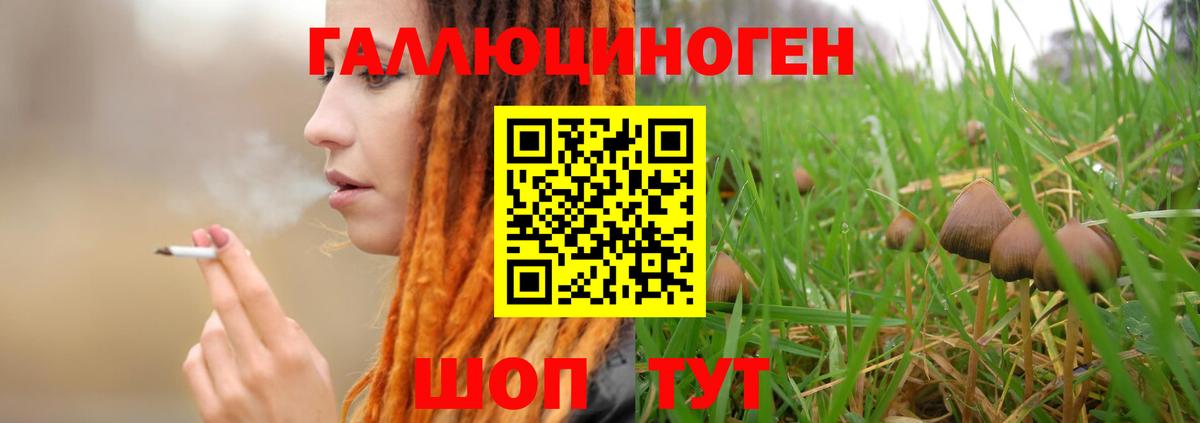 Галлюциногенные грибы GOLDEN TEACHER Златоуст